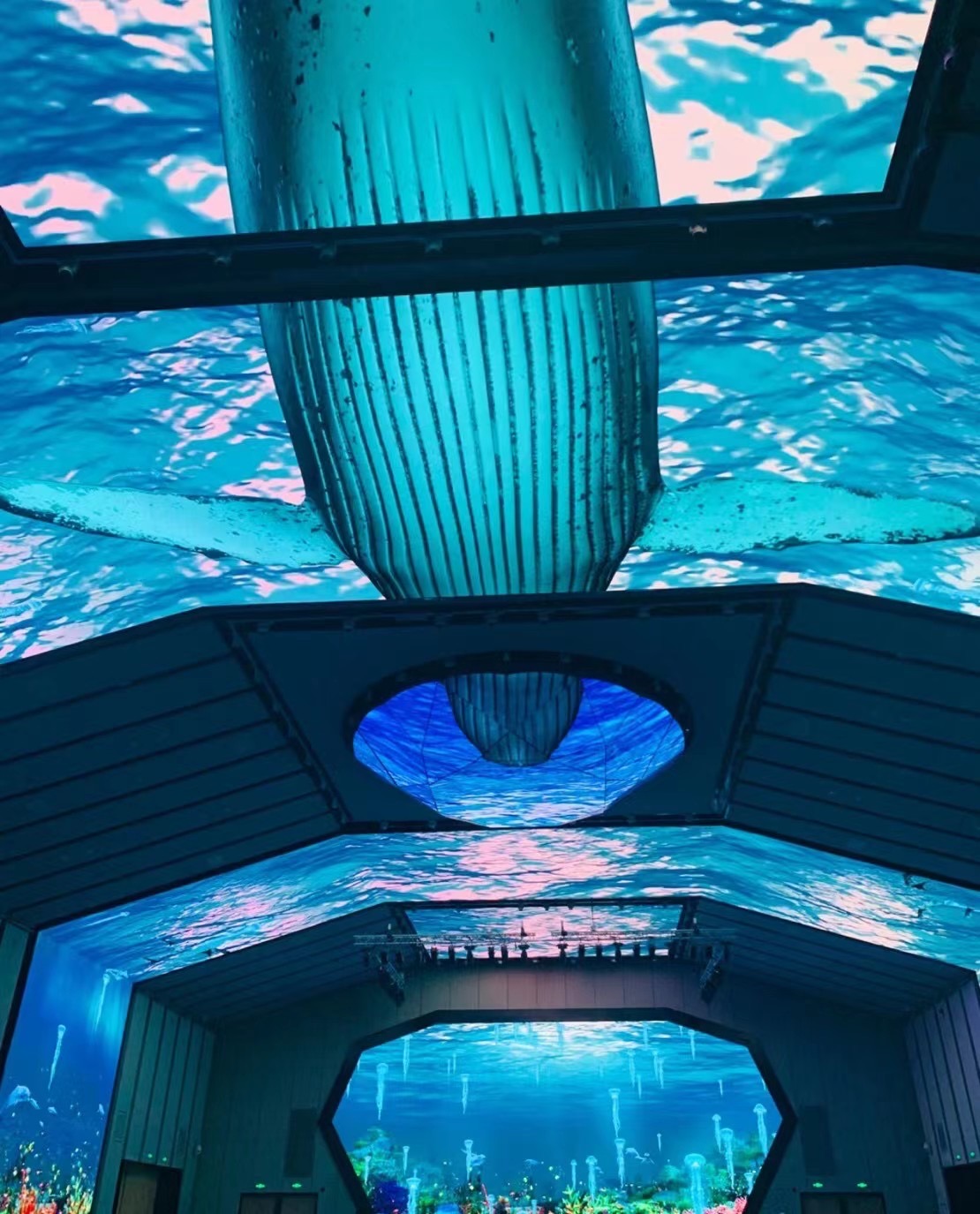 The sky screen LED display is usually used in places such as the Aquarium to attract tourists and improve the environment.